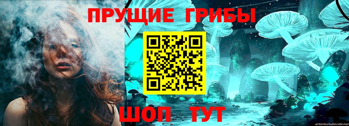 Елабуга  Галлюциногенные грибы прущие грибы  Вход с VPN 