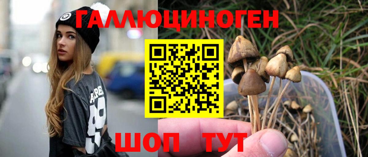 Псилоцибиновые грибы MAGIC MUSHROOMS Елабуга